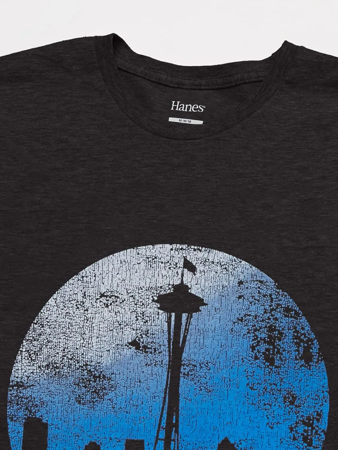 Hanes Mens Short Sleeve Graphic T-shirt Collection