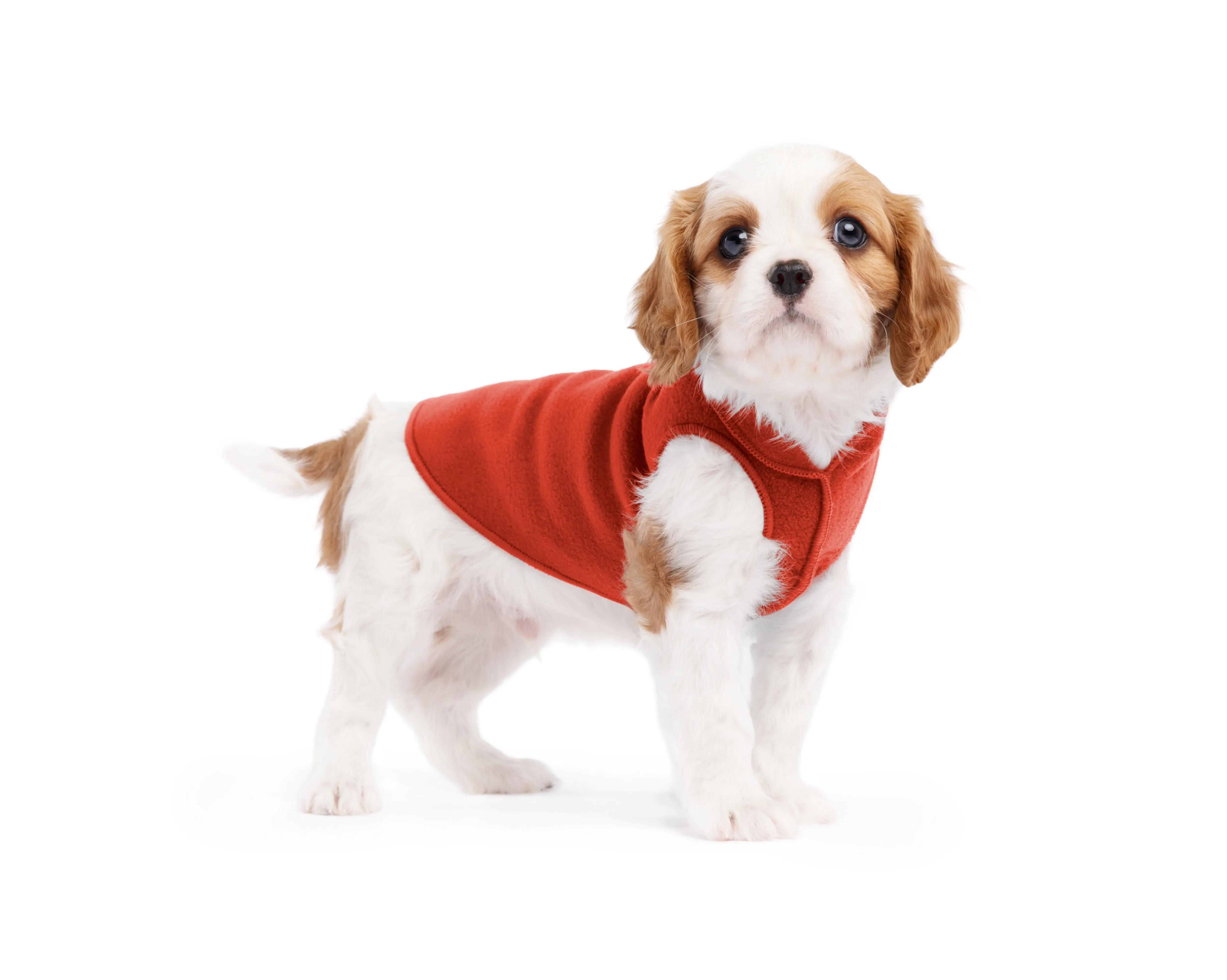 paprika stretch fleece