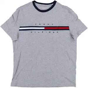 Tommy Hilfiger Men's Tommy Jeans Graphic Logo T-Shirt
